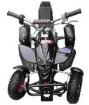 Quad ca. 60 km/h schnell