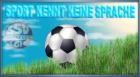 Sponsor gesucht