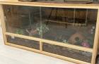 2 Königspython mit Terrarium